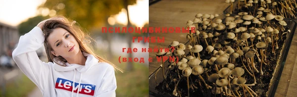 бошки Новозыбков