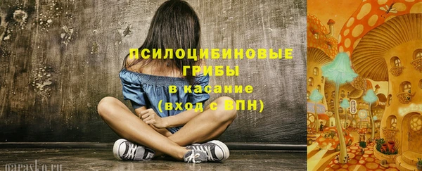 бошки Новозыбков
