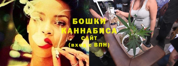 ГАЛЛЮЦИНОГЕННЫЕ ГРИБЫ Новодвинск